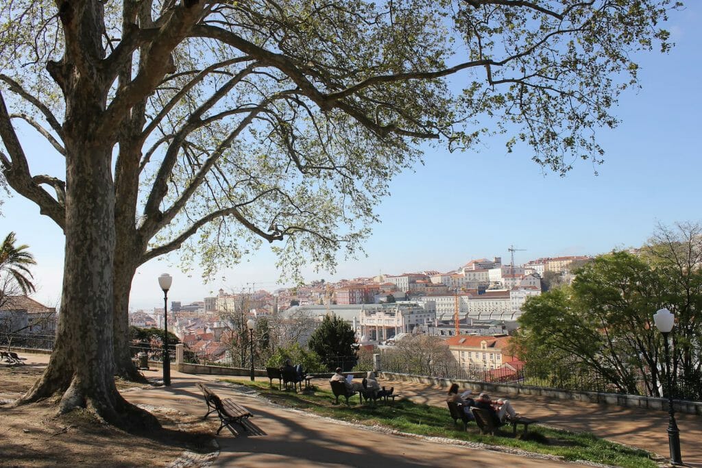 vue_panoramique_du_jardim_de_torel meilleurs points de vue de lisbonne