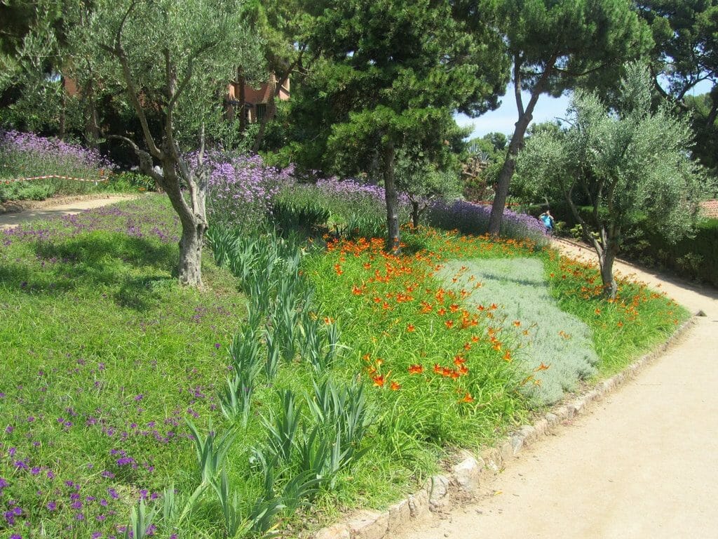 jardin d'autriche parc guell