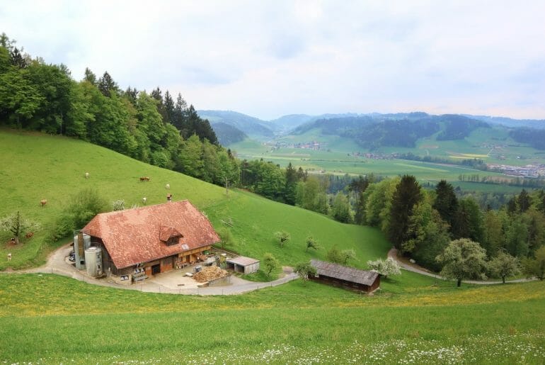 Week-end en Suisse de 3 ou 4 jours : les lieux parfaits et l’itinéraire idéal week-end en suisse