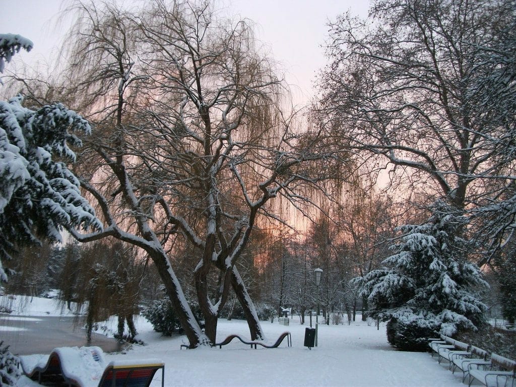 vienne_neige_decembre Neige sur la ville de Vienne