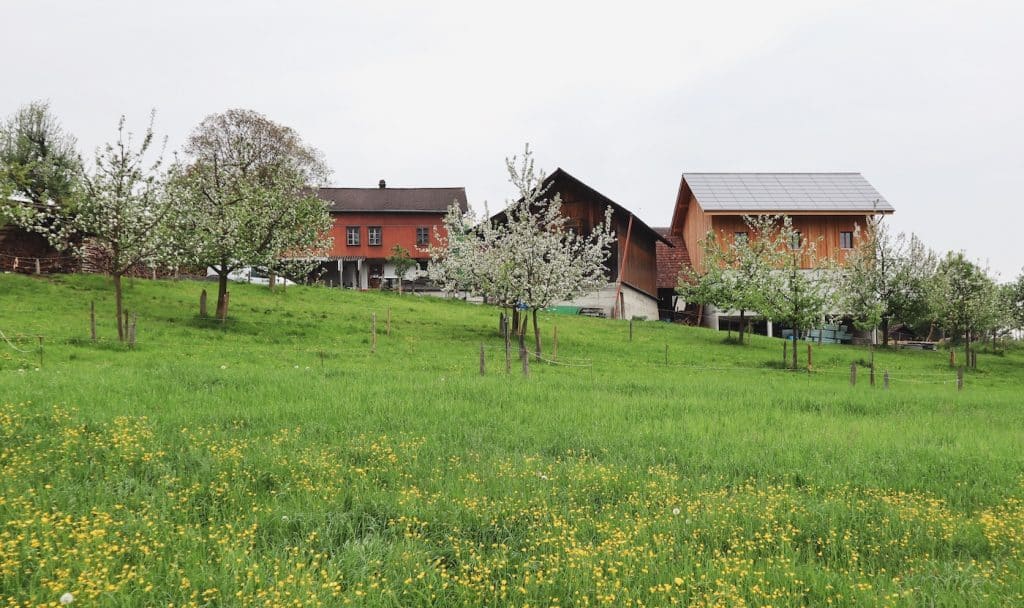 weekend en suisse a la ferme