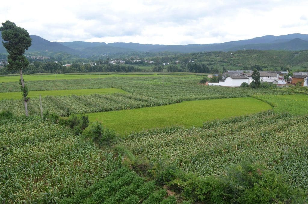 La route du thé véritable tremplin commerciale qui traverse Shaxi