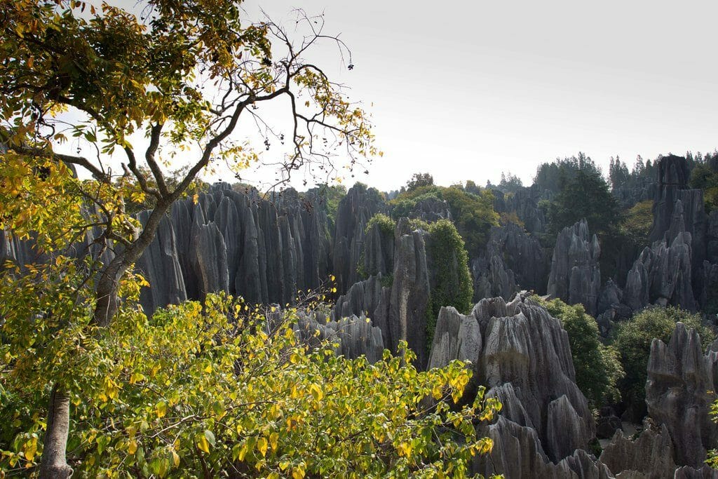 La forêt de pierres de Shilin