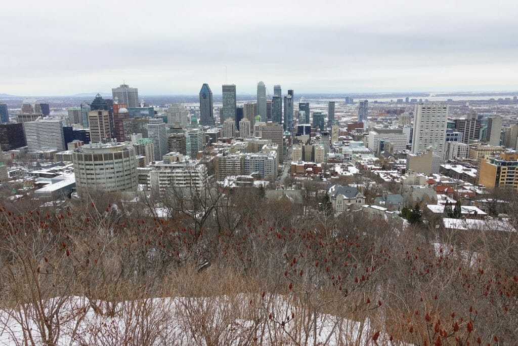 quebec en hiver Le Parc Royal à Montreal