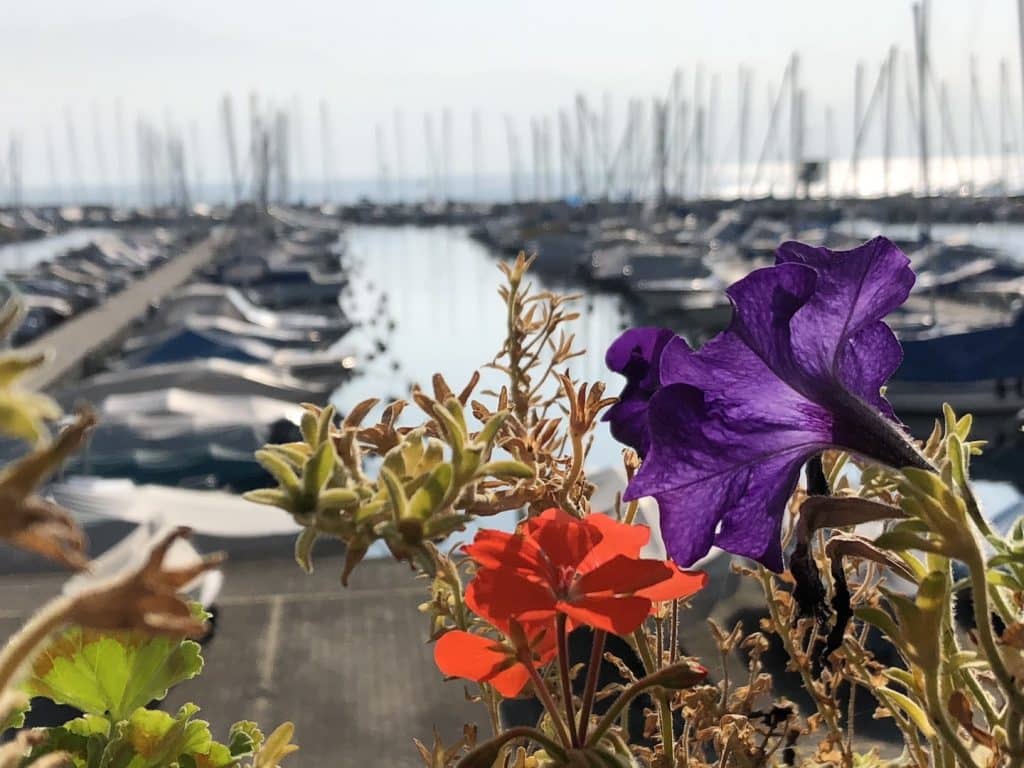 voyage en suisse quartier Ouchy lac léman