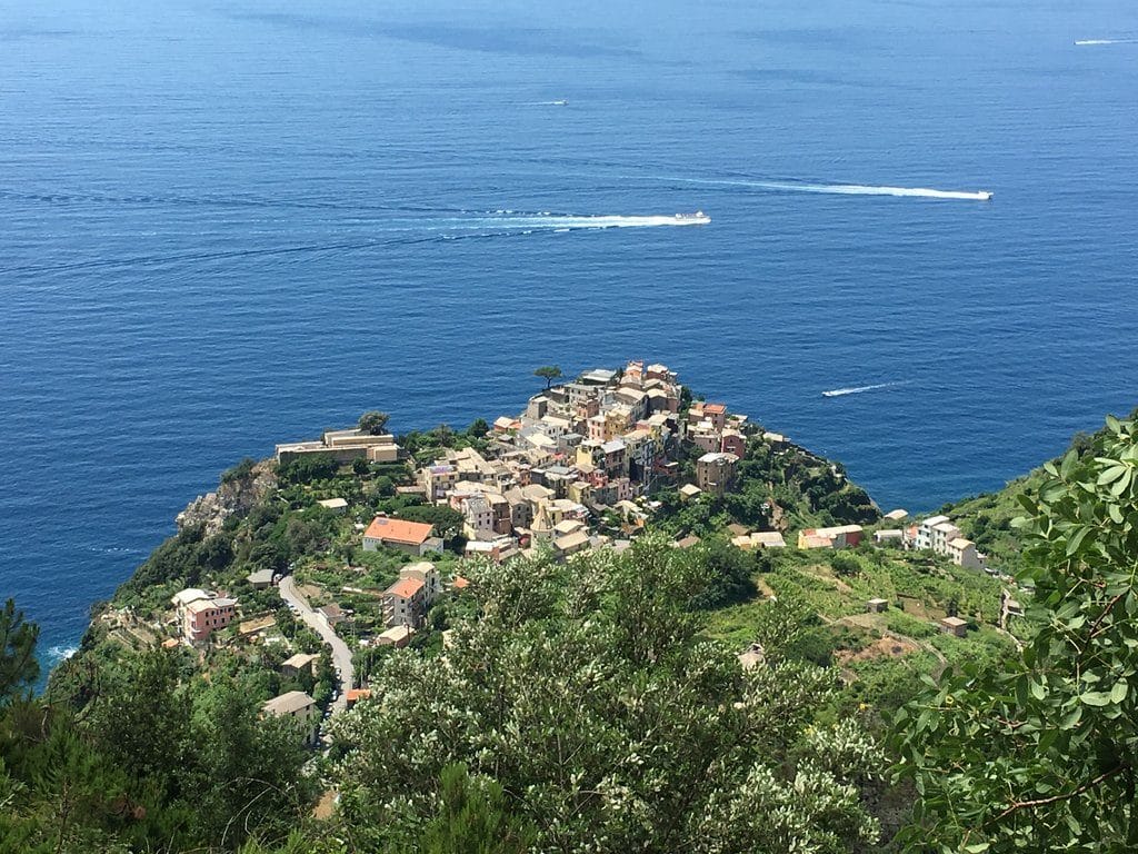 cinque terre vue vigne mer