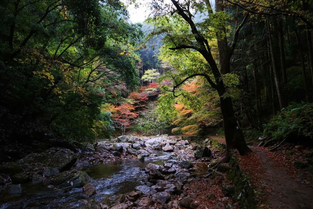 48_cascades_akame Voyage au Japon cascades d'Akame
