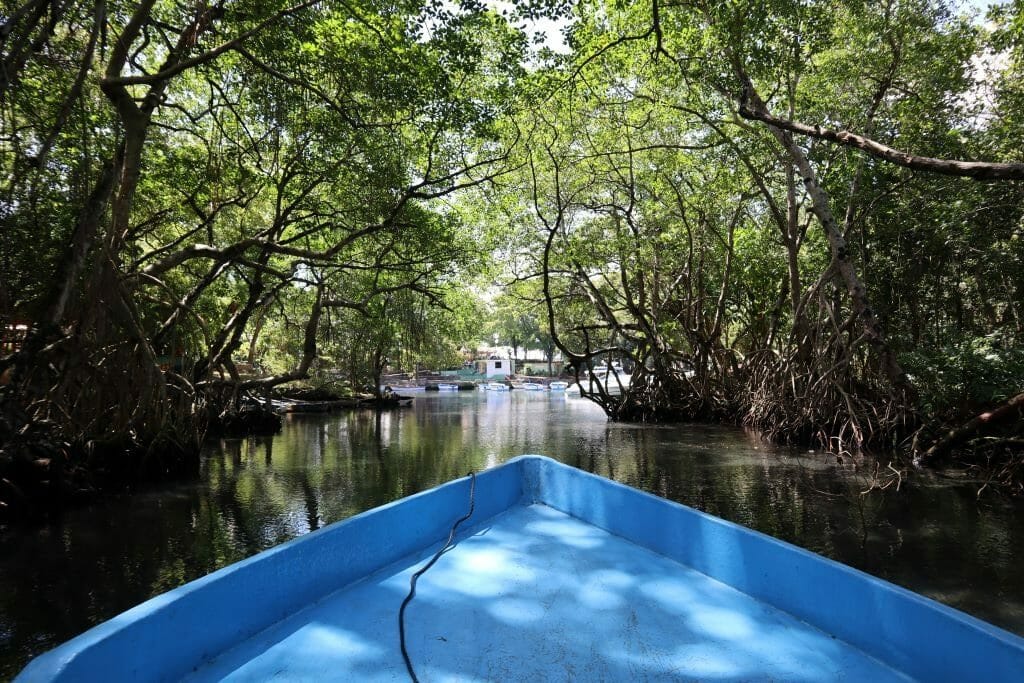 laguna gri gri rio san juan republique dominicaine