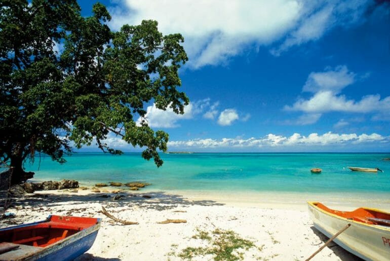 Que faire en Guadeloupe : les lieux et adresses incontournables marie galante guadeloupe