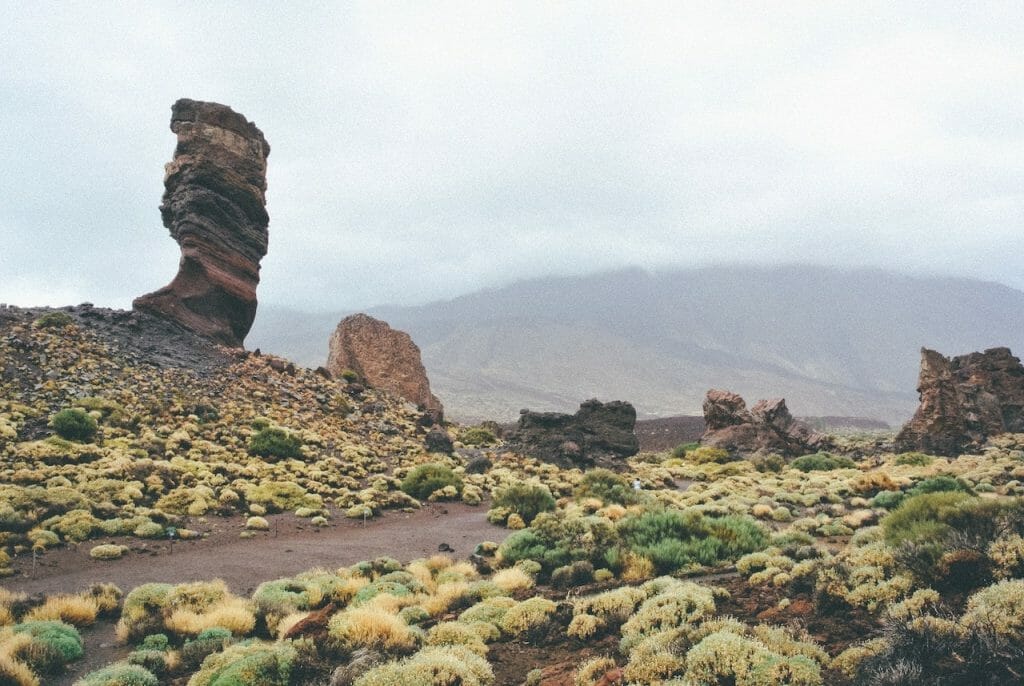 parque_nacional_del_teide_greg_rochat_unsplash visiter tenerife volcans el teide