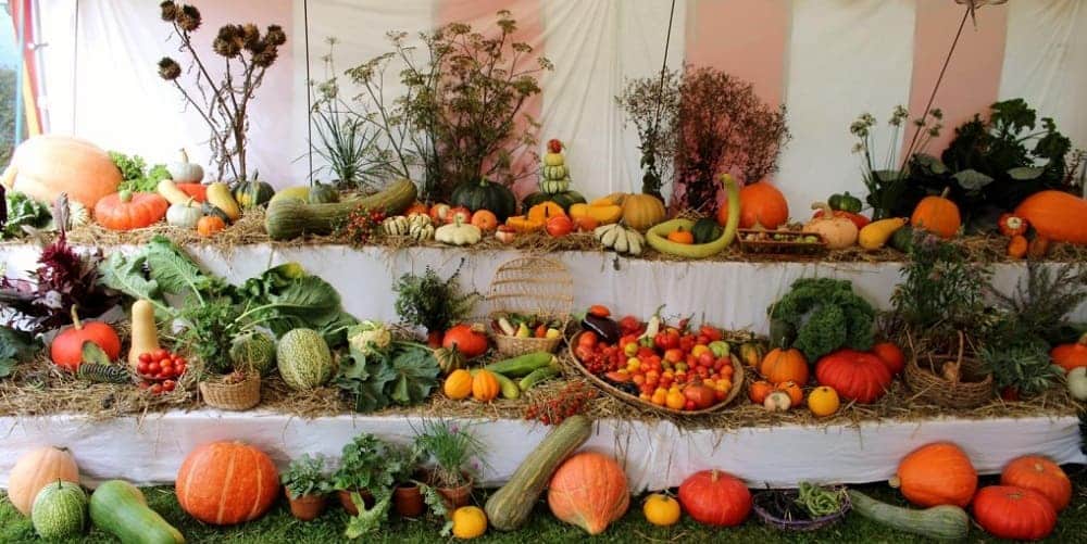 Association 1001 Legumes - photo : https://www.paris-normandie.fr/region/mesnil-en-ouche--le-festival-1001-legumes-se-deroule-les-23-et-24-septembre-OP10864695 weekend nature