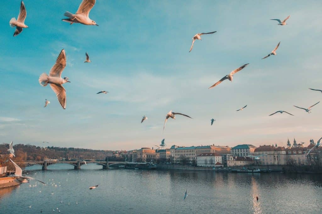 itinéraire pour visiter prague