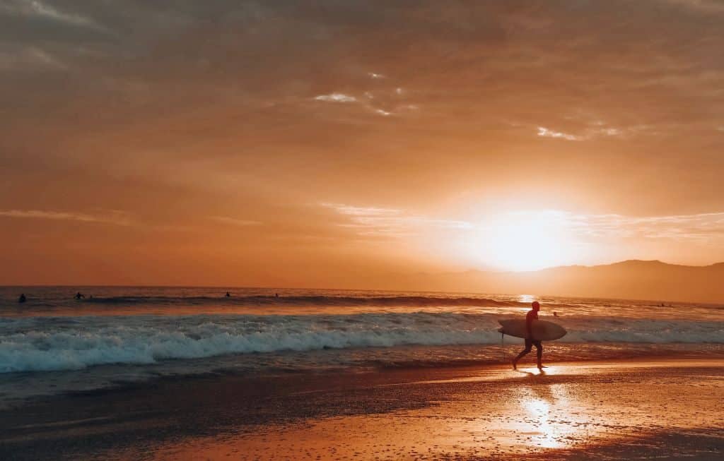 venice beach visite guidee los angeles