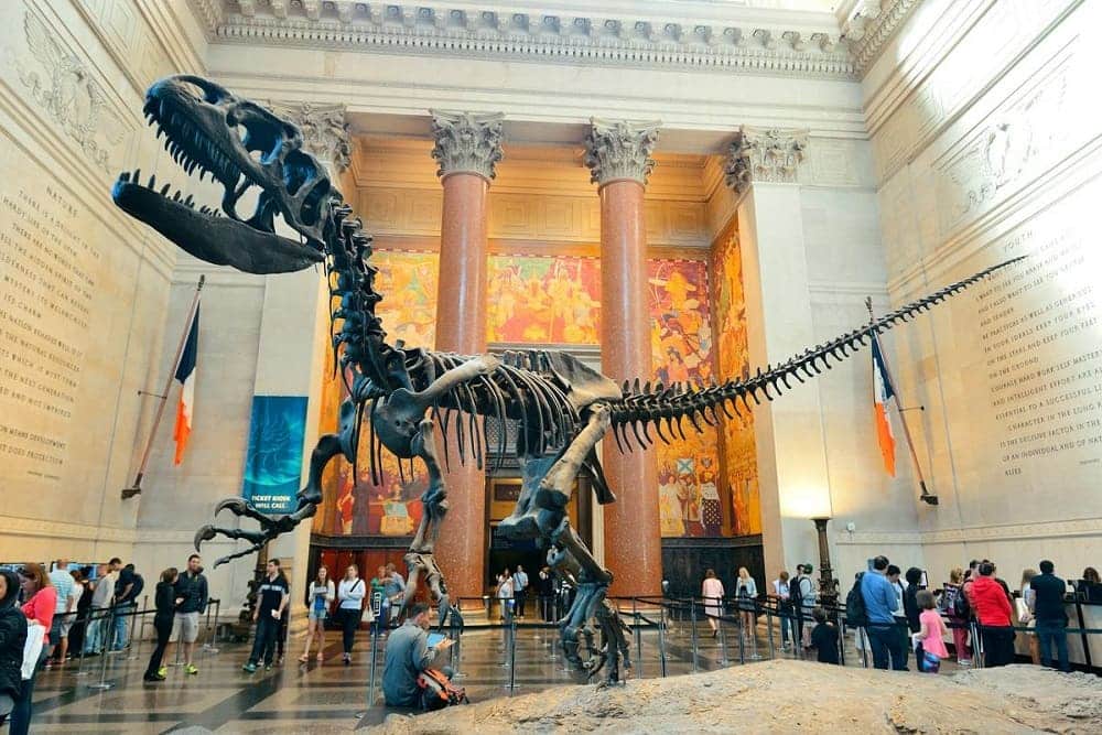 National History - photo : https://blog.headout.com/best-museums-new-york/ musée de New York