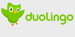 duolingo application apprendre anglais