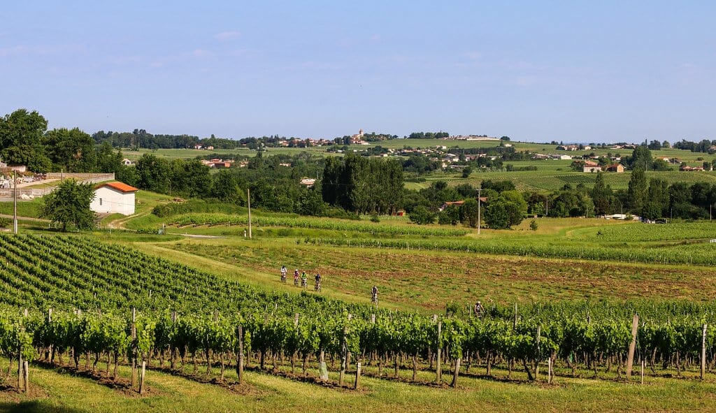 Vignoble_Bordelais vignoble bordelais