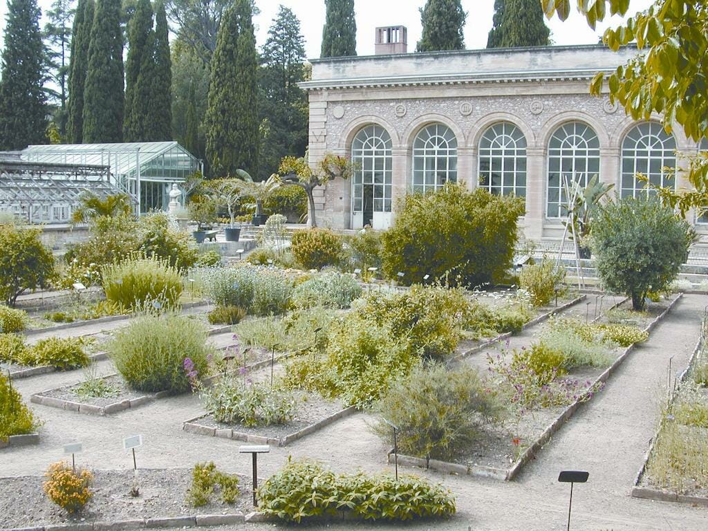 Jardin_des_plantes jardin plantes visiter montpellier
