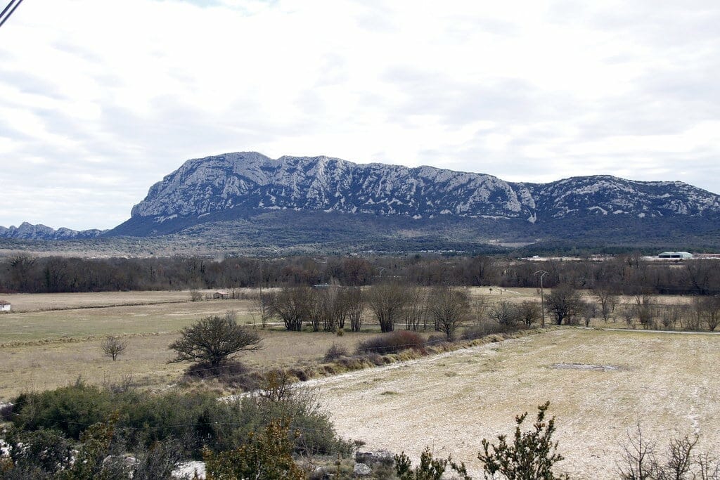 Pic_Saint_Loup pic saint loup