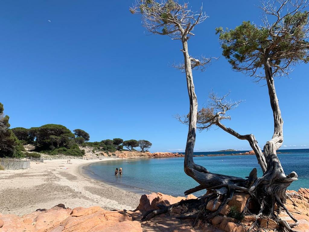 Plage_de_Palombaggia plage palombaggia que faire porto vecchio