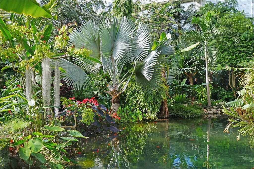 serre tropicale parc phoenix visiter nice