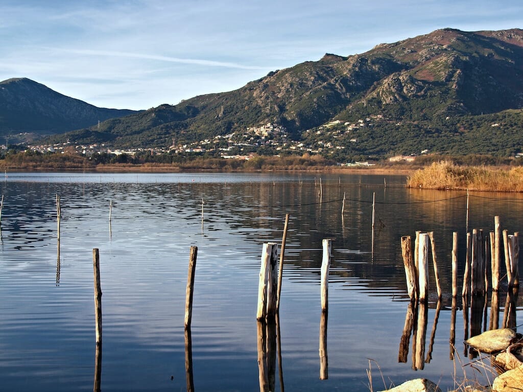 etang biguglia