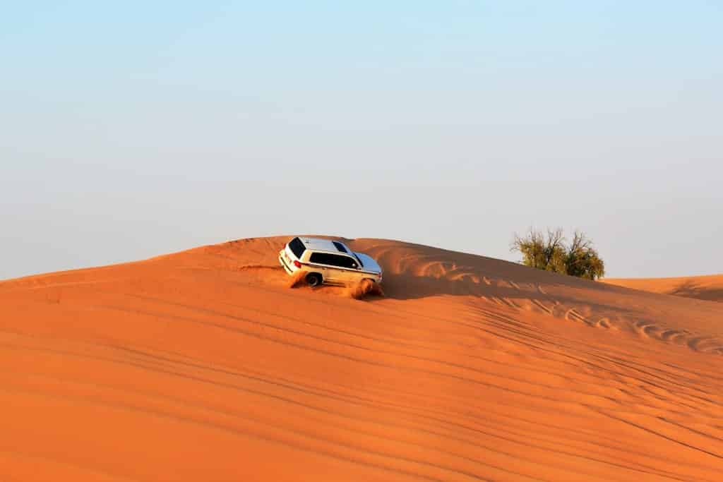safari desert