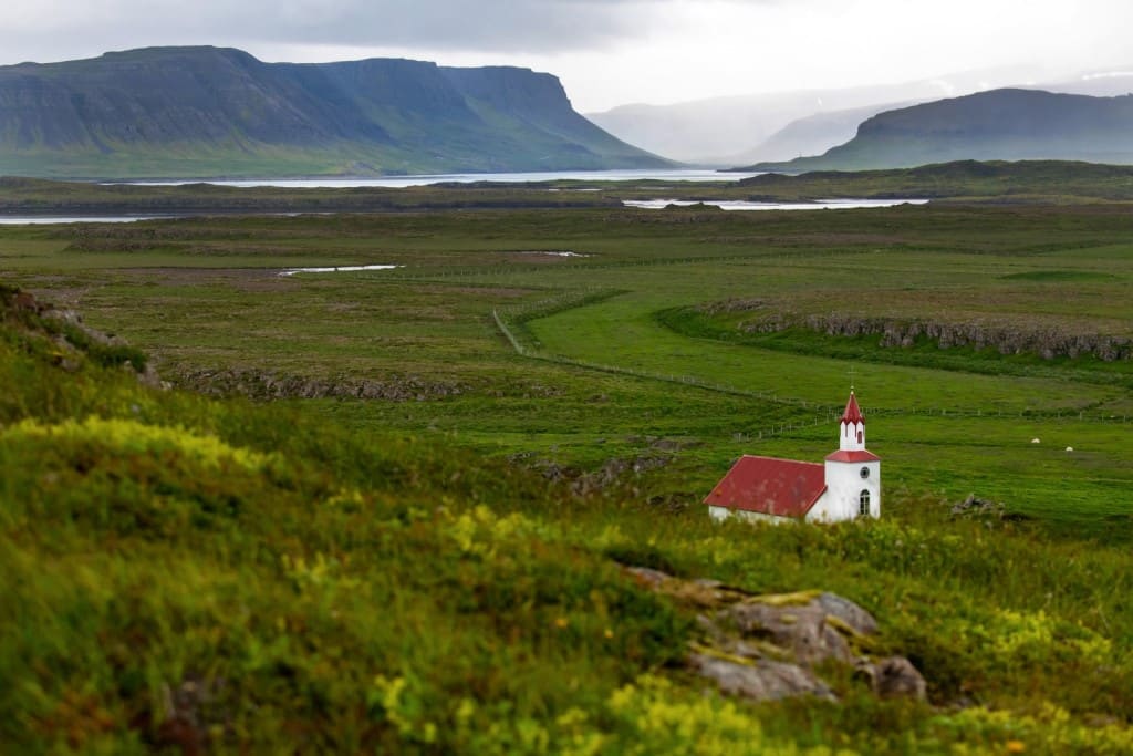 islande faune plaine