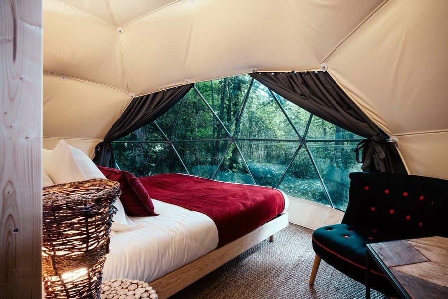 geode erable pourpre