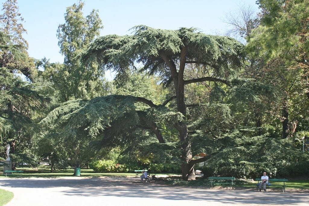 jardin des plantes week end toulouse