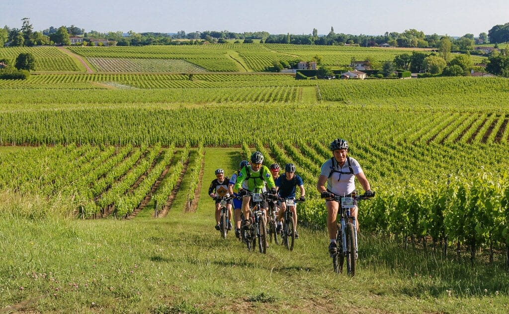 vignobles bordelais