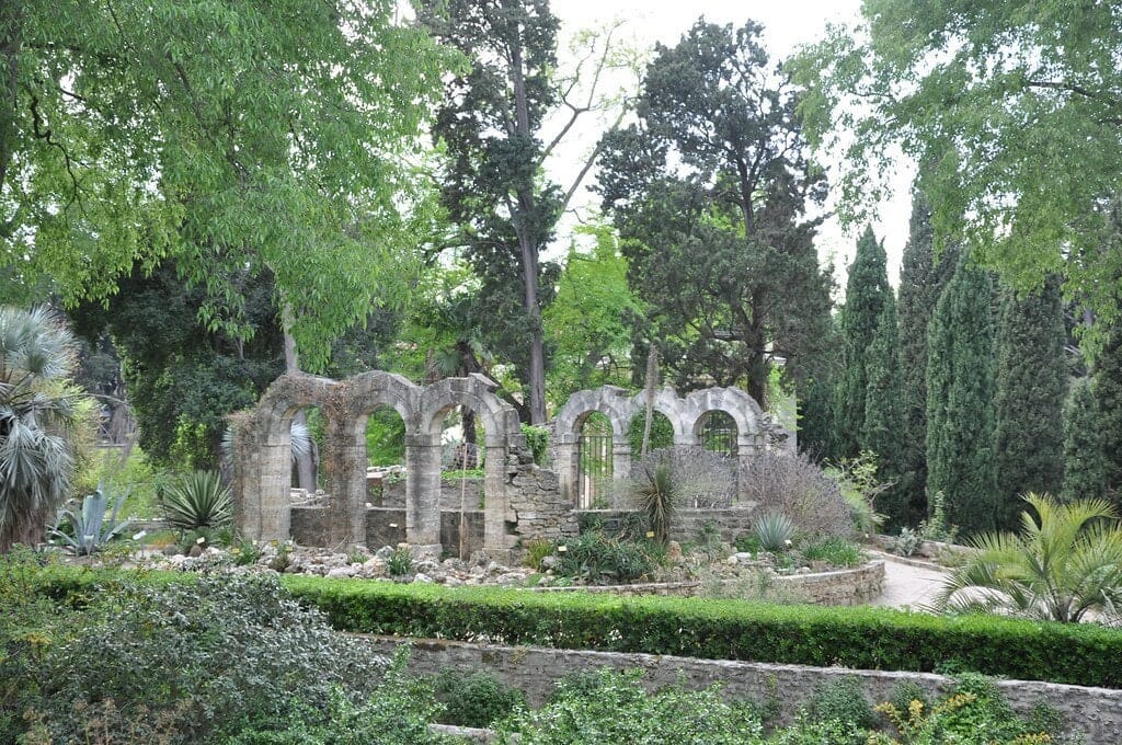 jardin plantes visiter montpellier