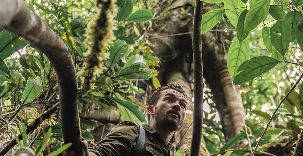 alex_vizeo_jungle_ecuador alex vizeo jungle ecuador