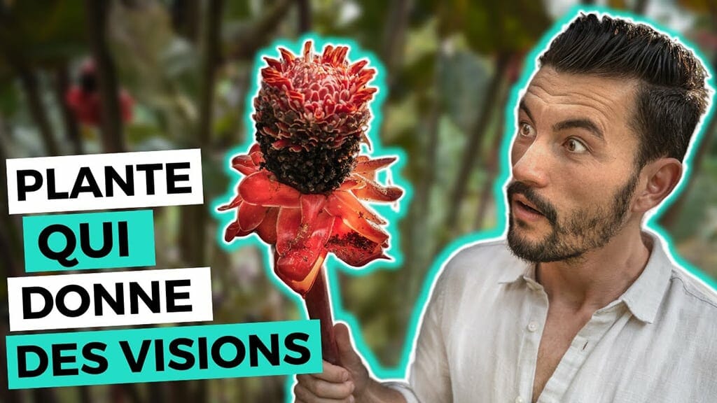 wayusa_voyage_equateur_youtube_vizeo wayusa voyage equateur youtube vizeo