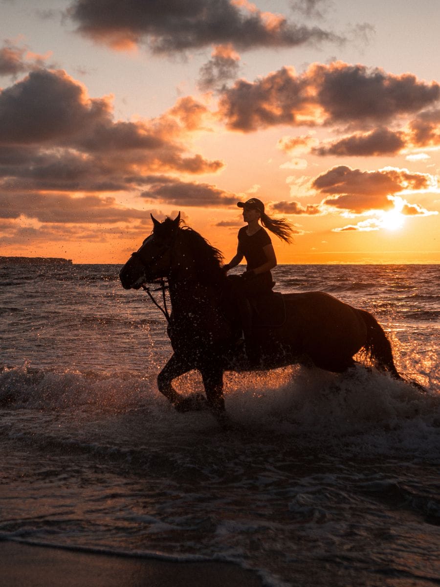 cheval au coucher du soleil sur la plage