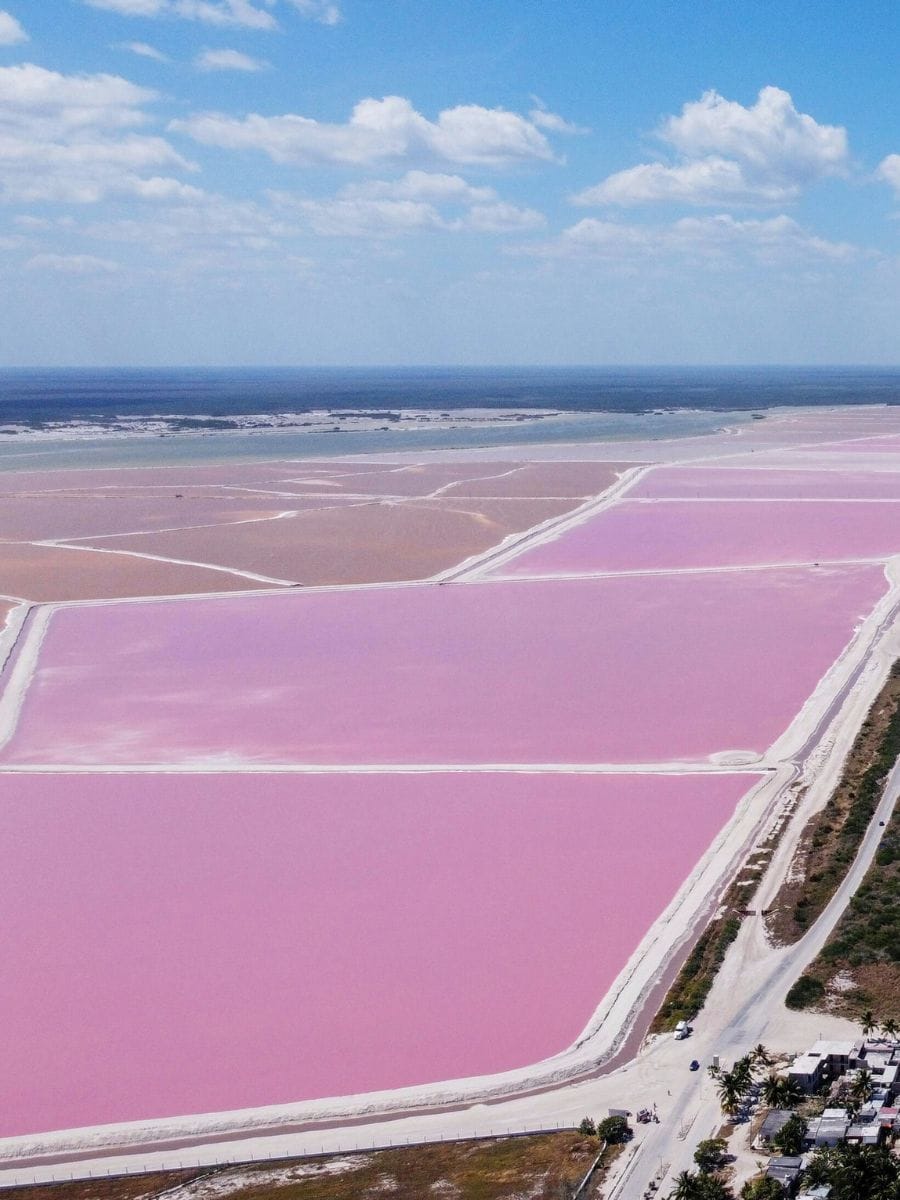 Explorer les lacs roses de Las Coloradas