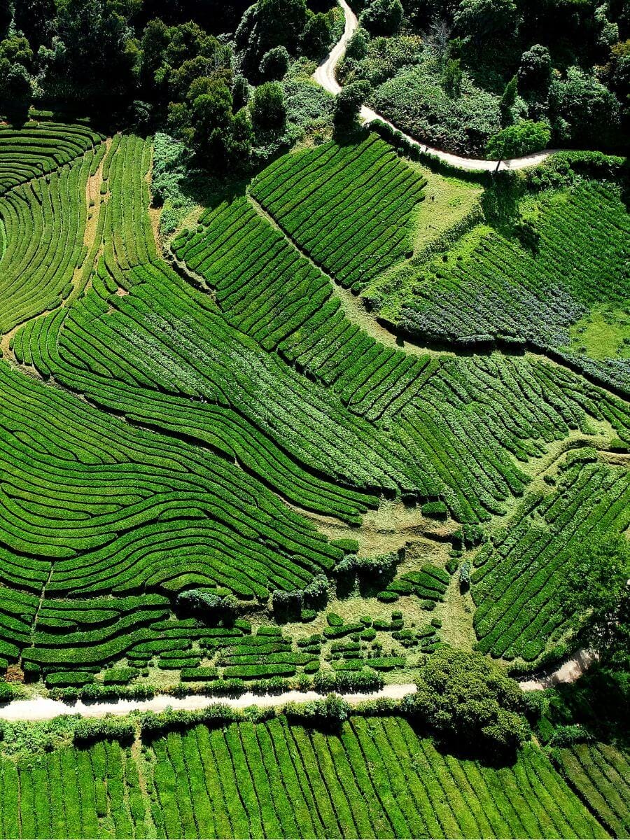 Le tourisme qui fait du bien