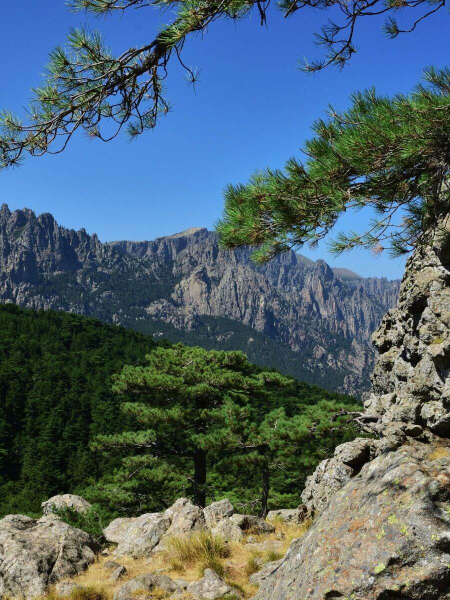 Jour 9 : l’Alta Rocca et les aiguilles de Bavella